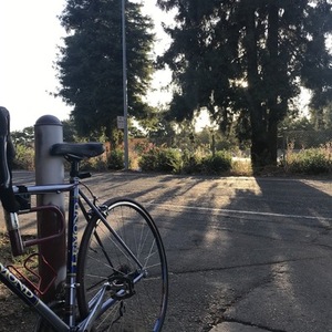 LeMond Racing Cycles Blue