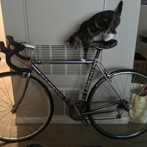 LeMond Racing Cycles Blue