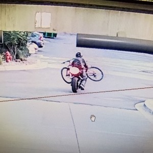 2019 Haibike XDURO AllMTN 3.0 Silver, gray or bare metal