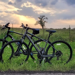 2015 Specialized Ariel Silver, gray or bare metal