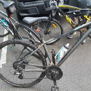 2015 Specialized Ariel Silver, gray or bare metal