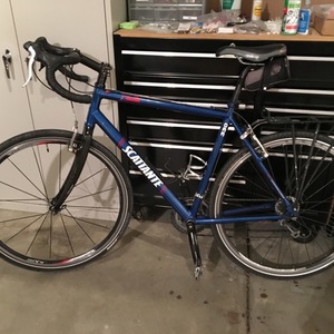 Scattante 330 Blue
