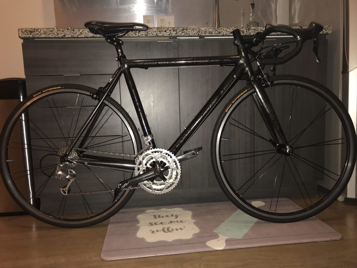 2004 trek 1500