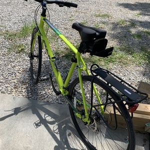 2019 Fuji Absolute1.9 Yellow or Gold