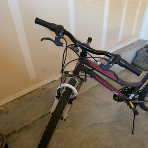 2020 Pacific Cycle 261021P Silver, gray or bare metal and Pink