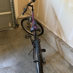 2020 Pacific Cycle 261021P Silver, gray or bare metal and Pink