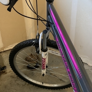 2020 Pacific Cycle 261021P Silver, gray or bare metal and Pink