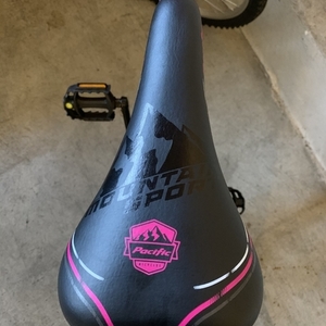 2020 Pacific Cycle 261021P Silver, gray or bare metal and Pink