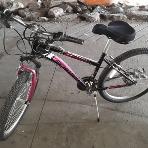 Schwinn Purple