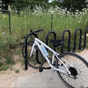 2017 Specialized Vita White