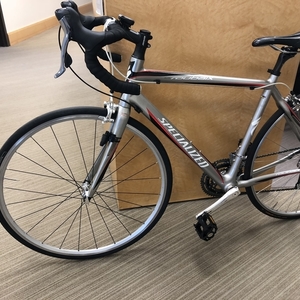 Specialized Roubaix Silver, gray or bare metal