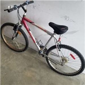 Supercycle Red and Silver, gray or bare metal