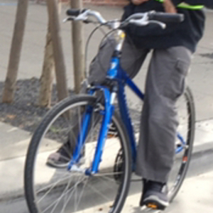 Trek Verve 2 Blue