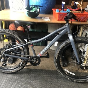 2020 REI REV 24 Silver, gray or bare metal