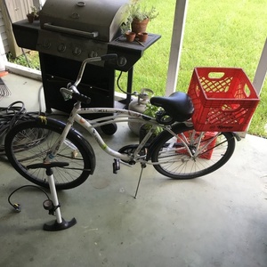 Schwinn Cruiser Ss White
