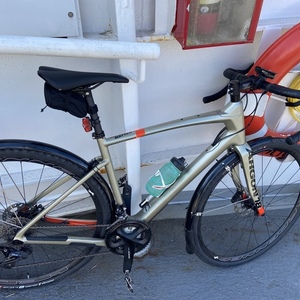 2020 Argon 18 Dark Matter Yellow or Gold