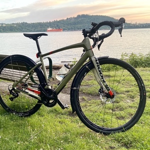 2020 Argon 18 Dark Matter Yellow or Gold