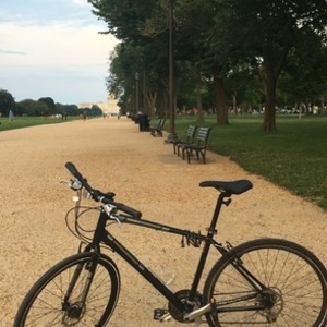 2011 Diamondback Insight Black, Silver, gray or bare metal, and Blue
