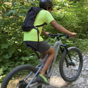 2019 Trek Fuel EX8 Silver, gray or bare metal