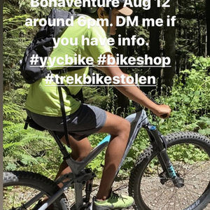 2019 Trek Fuel EX8 Silver, gray or bare metal