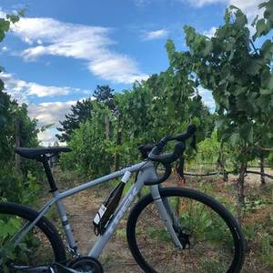 2020 Trek Checkpoint AL4 Silver, gray or bare metal