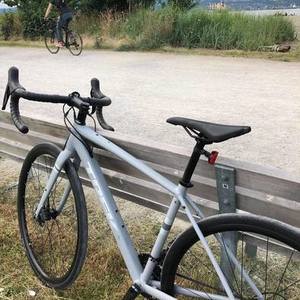 2020 Trek Checkpoint AL4 Silver, gray or bare metal