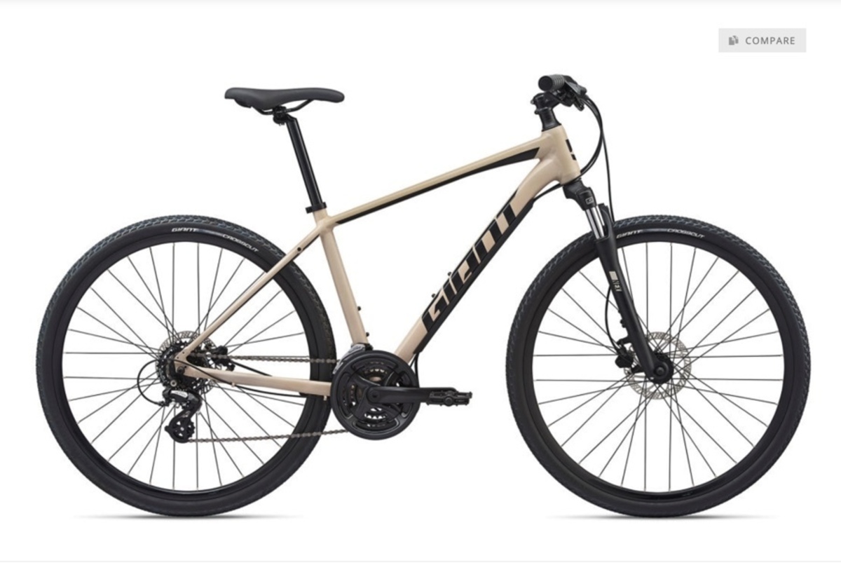 giant roam 2020