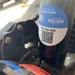 2020 Specialized M Green and Black