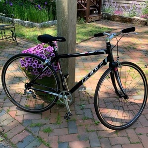 2010 Felt ZW 95 Black