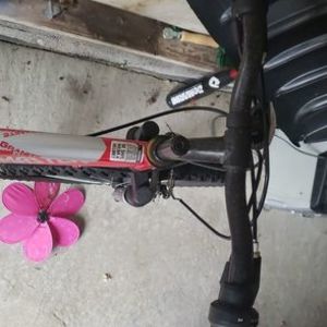 2017 Roadmaster mountain Red