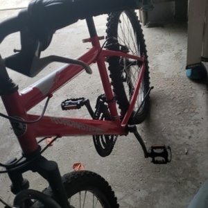 2017 Roadmaster mountain Red