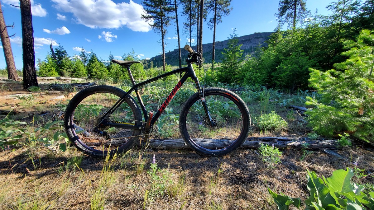 specialized stumpjumper evo 2013