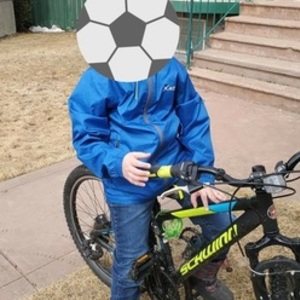 2019 Schwinn S7328TR Black, Blue, and Yellow or Gold