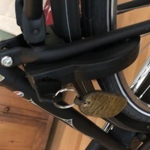 Batavus Black