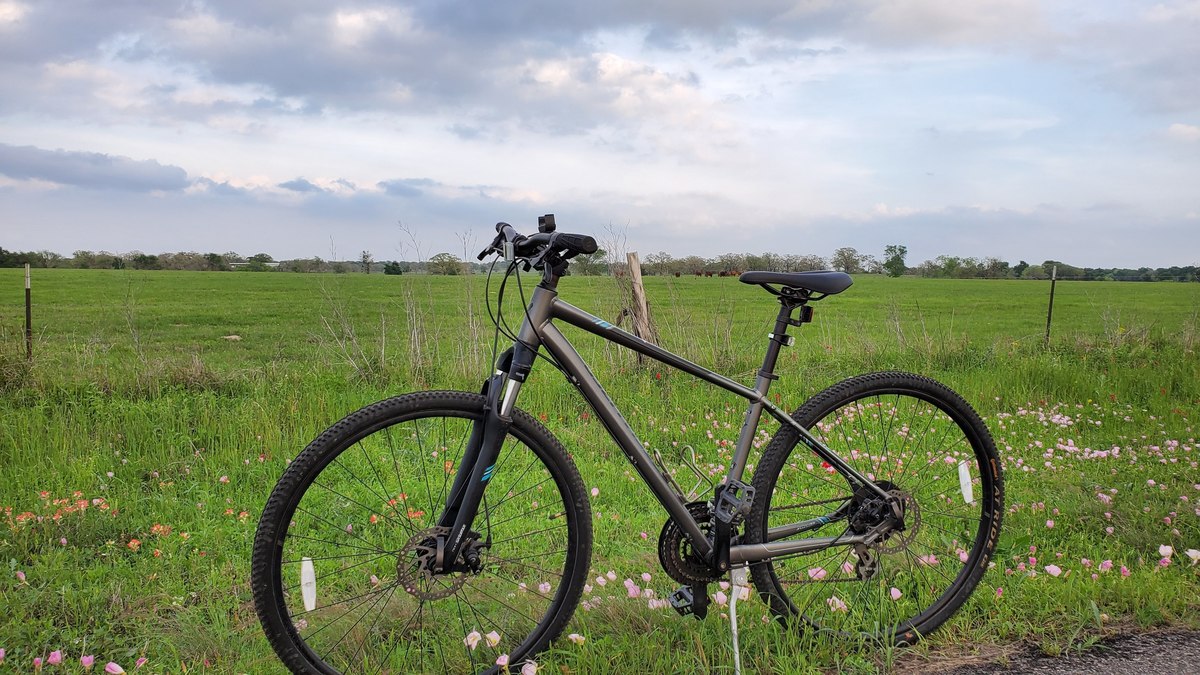 Bike photo