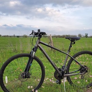 2016 Specialized Ariel Silver, gray or bare metal