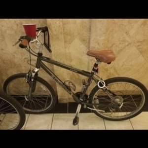 2016 Schwinn Suburban Silver, gray or bare metal
