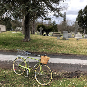 1970 Columbia Sport III Green