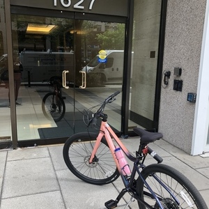 2020 Cannondale Treadwell 2 Pink, Purple, and Blue