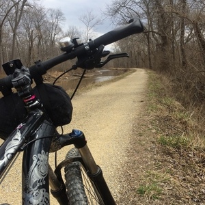 2014 Raleigh Eva Black