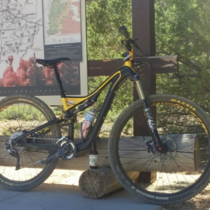 2013 Specialized Stumpjumper FSR Elite 29 Black and Yellow or Gold