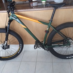 2019 Devinci Kobain Green
