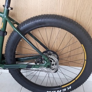 2019 Devinci Kobain Green