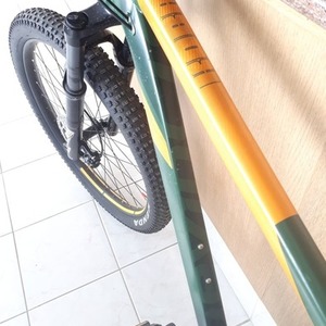 2019 Devinci Kobain Green