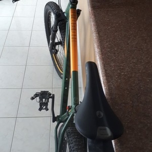 2019 Devinci Kobain Green