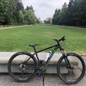 Salsa Black