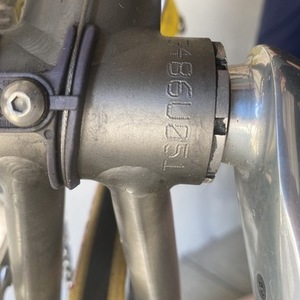 LeMond Racing Cycles road racing/tete de Course Silver, gray or bare metal and Yellow or Gold