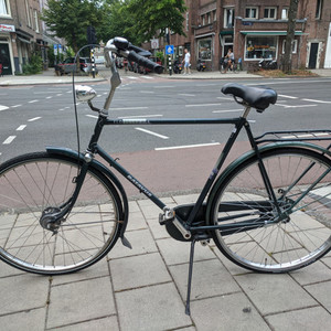 Batavus Florence Green