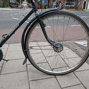 Batavus Florence Green