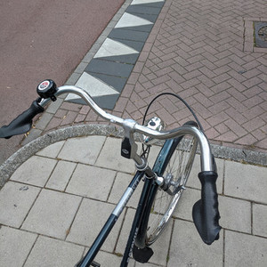Batavus Florence Green